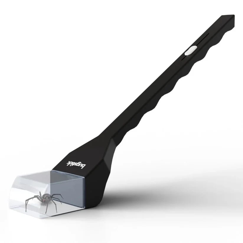 π·οΈ Humane Spider & Bug Catcher | 75cm Long-Handle Release Tool