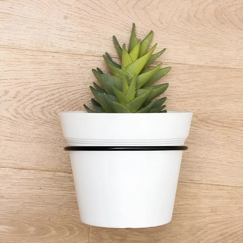 (1+1 Free) Wall hanging vase holder - From bare walls to blooming beauties!