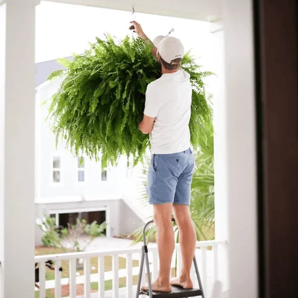 💥This Week's Special Price $18.98🌱UV Resistant Lifelike Artificial Boston Fern