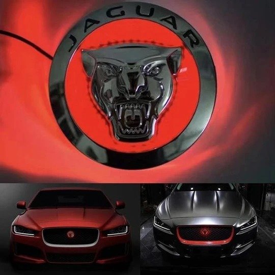 4D Car Logo Badge LED Light