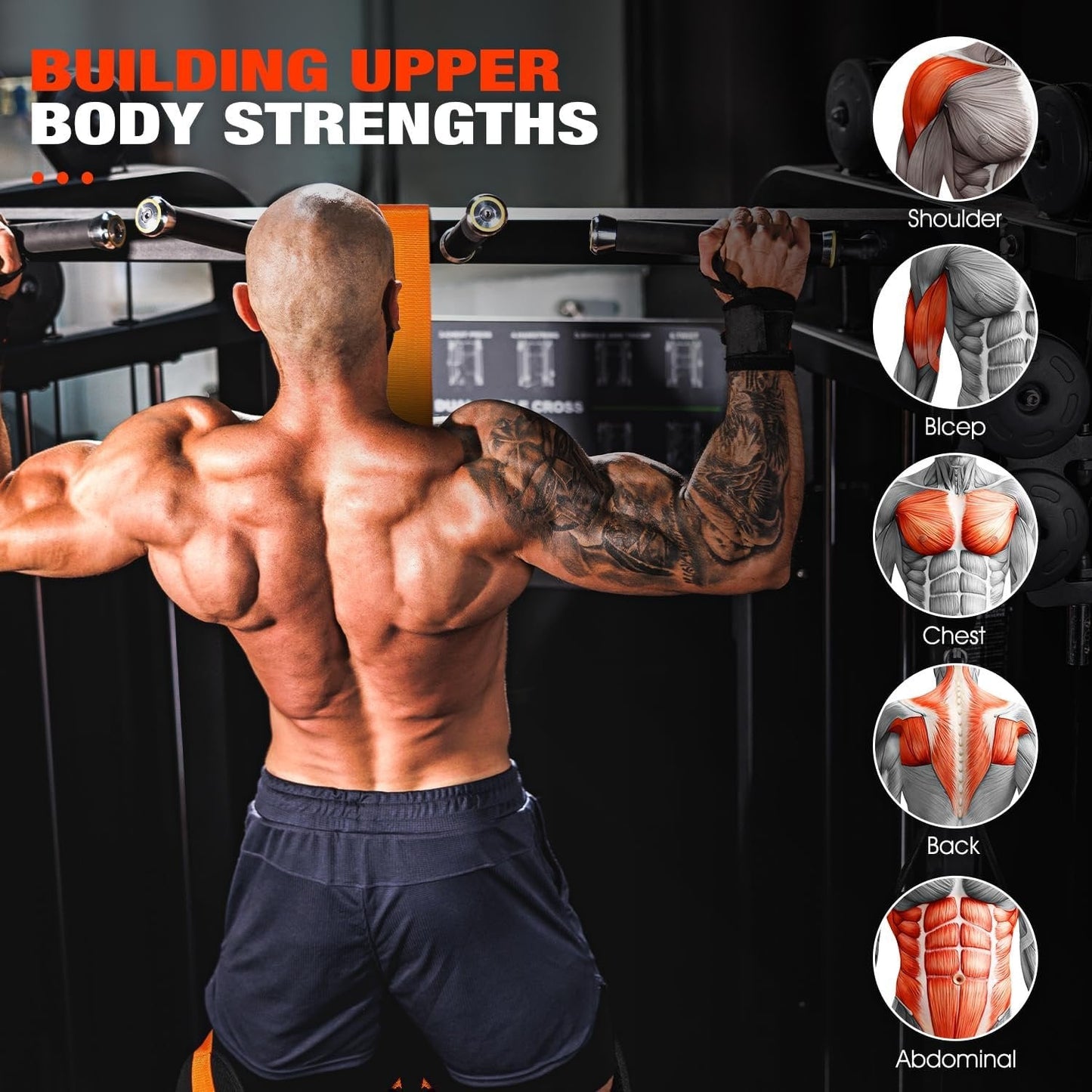 Pull-Up Bands in Resistance Bands
