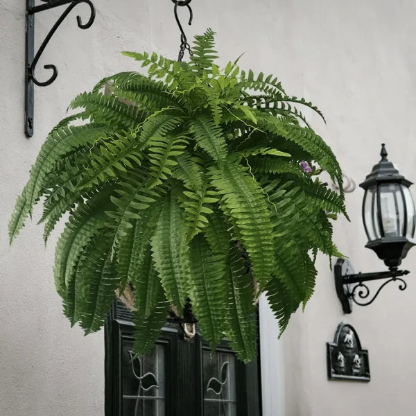💥This Week's Special Price $18.98🌱UV Resistant Lifelike Artificial Boston Fern
