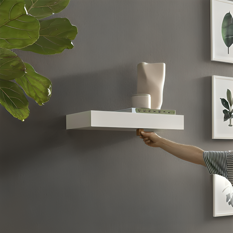 Wall-mounted shelf with secret compartment